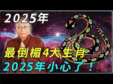 51年屬什麼